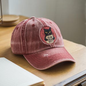 Is He Dead Yet Black Cat embroidered cap, Anti Trump Protest embroidered hat, Subtle FDT dad cap, Funny Political cap, Resist And Persist
