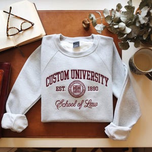 Embroidered Custom College Sweatshirt Hoodie, Embroidered Personalized Logo University Sweatshirt Shirt, College Hoodie, Graduation Gift