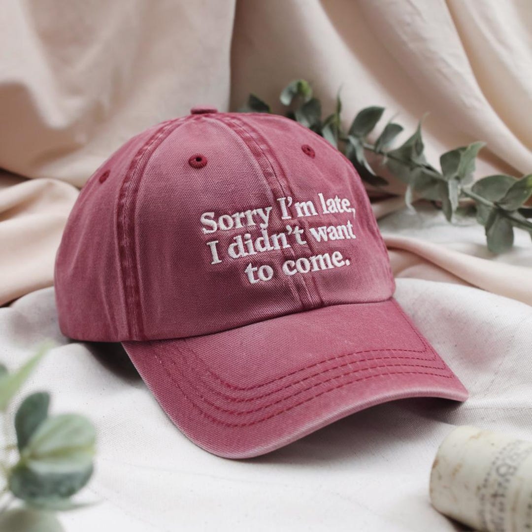Embroidered Sarcastic Humor Hat, Funny Adult Cap - Etsy