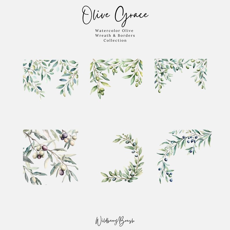Watercolor Olive Tree Clipart: Greenery Wreaths & Frames (PNG Digital ...