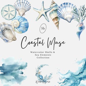 Clipart di conchiglie e coralli blu acquerellati per creazioni artistiche, barriera corallina, stelle marine, conchiglie marine, clipart subacquee, download immediato