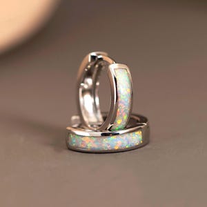 May include: A pair of small silver-toned hoop earrings featuring a smooth metallic finish and a central inlay of iridescent white opal. The opal inlay displays subtle flashes of green, orange, and pink light across the curved surface of the hoops.