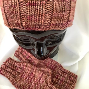 Fingerless Mitts and Earwarmer Set