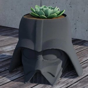 Op de afbeelding: Een zwarte Darth Vader plantenpot met een groene succulent die erin groeit.