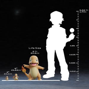 May include: Image features three Charmander figures of varying sizes, with the largest measuring 6 inches (15.24cm) tall. A silhouette of a person is next to the figures, with a height of 5.58 ft (1.70m). The text "Life Size" is also present.