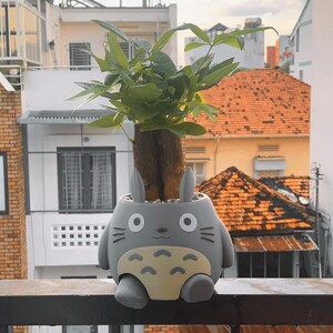 May include: A gray ceramic planter shaped like a cartoon character with large eyes and a smiling mouth. The planter is filled with a green plant with a brown trunk.