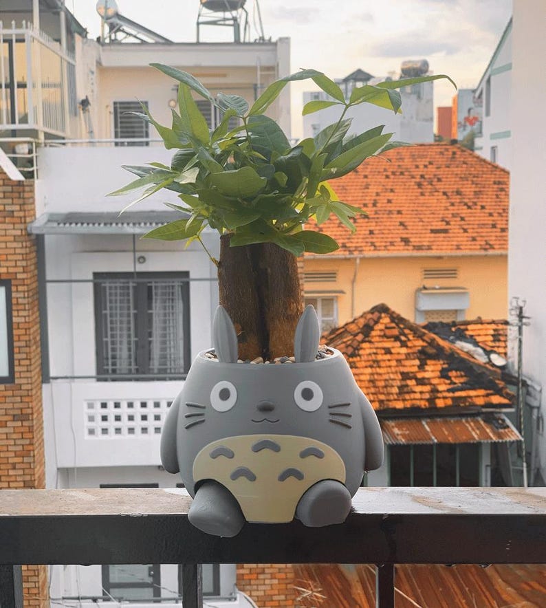 May include: A gray ceramic planter shaped like a cartoon character with large eyes and a smiling mouth. The planter is filled with a green plant with a brown trunk.