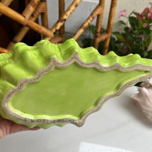 May include: A bright green ceramic planter shaped like a seashell. The planter has a scalloped edge and a smooth, glossy finish.