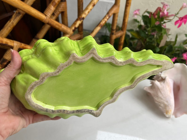 May include: A bright green ceramic planter shaped like a seashell. The planter has a scalloped edge and a smooth, glossy finish.