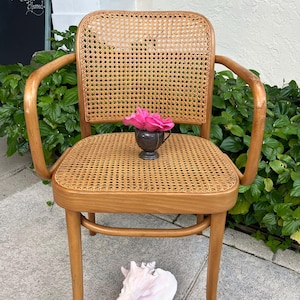 Vintage Bauhaus Bentwood and Cane Josef Hoffman Prague 811 Armchiar for Stendig by Thonet Poland
