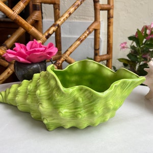 May include: A green ceramic seashell planter with a textured surface. The planter is shaped like a seashell and has a wide opening at the top.