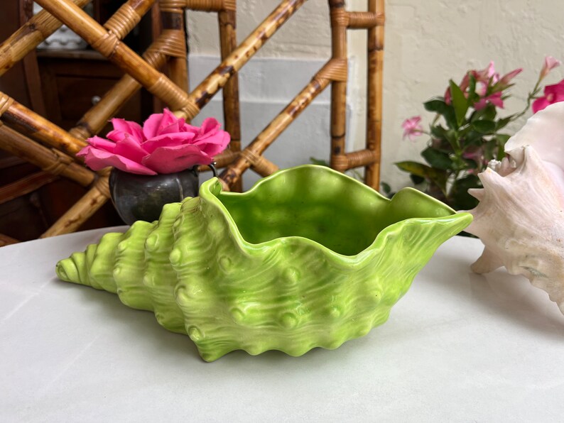 May include: A green ceramic seashell planter with a textured surface. The planter is shaped like a seashell and has a wide opening at the top.