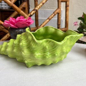 May include: A green ceramic seashell planter with a textured surface. The planter is shaped like a seashell and has a wide opening at the top.