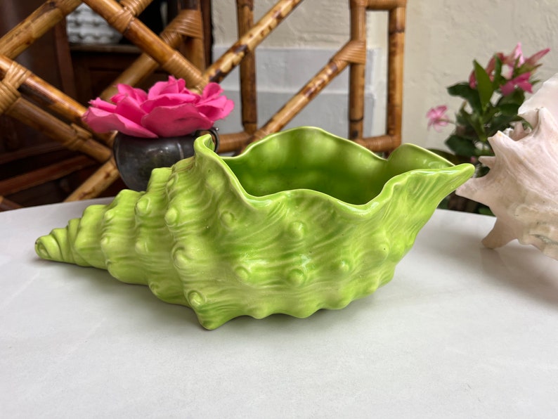 May include: A green ceramic seashell planter with a textured surface. The planter is shaped like a seashell and has a wide opening at the top.