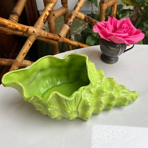 May include: A bright green ceramic seashell planter. The planter is shaped like a conch shell and has a textured surface.