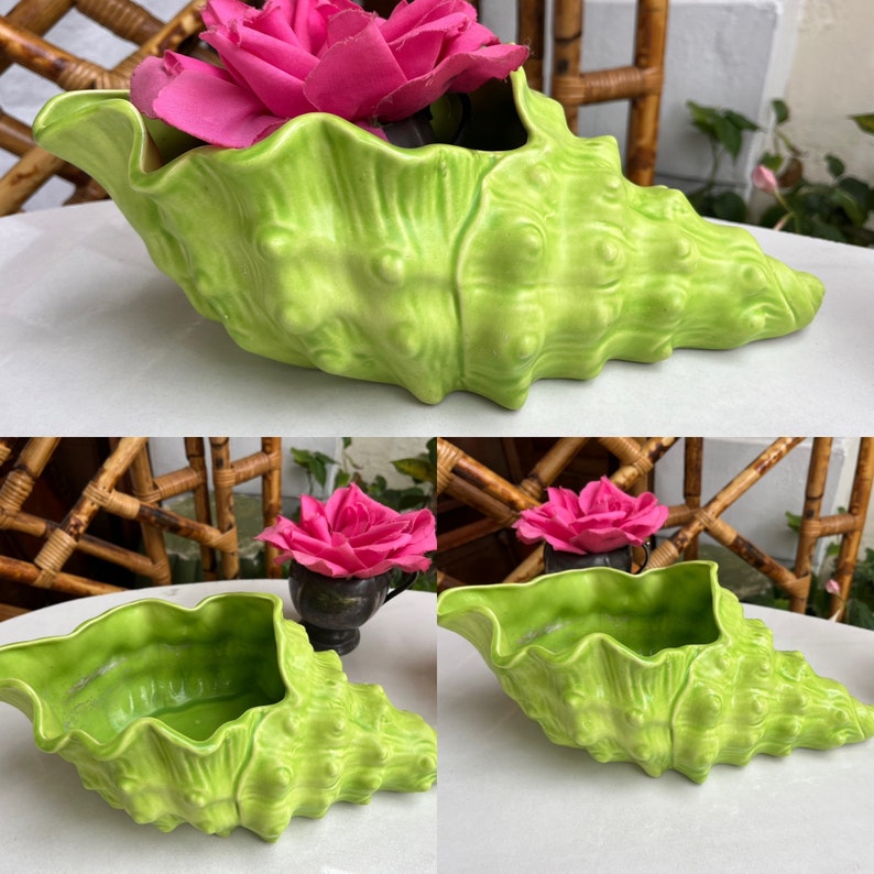 May include: A green ceramic seashell planter with a ruffled rim. The planter is shaped like a conch shell and has a textured surface. A pink rose is sitting inside the planter.