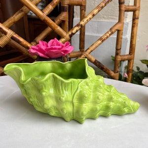 May include: A bright green ceramic seashell planter with a textured surface. The planter is shaped like a conch shell and has a wide opening at the top.