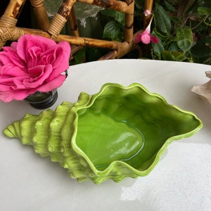 May include: A bright green ceramic seashell planter with a scalloped rim. The planter is shaped like a conch shell and has a textured surface.