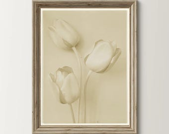 Vintage Tulip Botanical Art Print: Sepia Floral Illustration | Opcje cyfrowe i fizyczne
