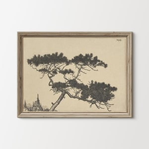 Vintage Pine Tree Art Print | Minimal Nature Wall Art | Rustic Landscape Drawing | Neutral Botanical Decor | Timeless Tree Sketch