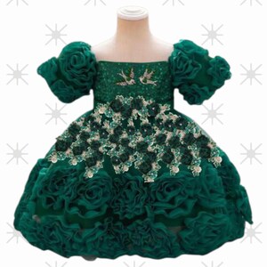 May include: A green dress with a square neckline and short, puffy sleeves. The bodice is embellished with sequins and two bird designs. The skirt is adorned with layers of ruffled fabric, and the waist is decorated with floral accents. A formal dress for a special occasion.