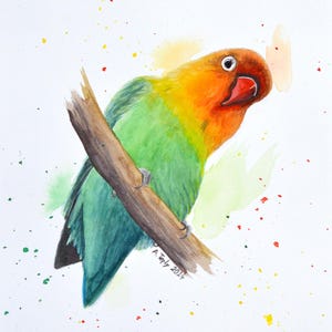Pode incluir: Pintura em aquarela de um periquito verde e laranja empoleirado em um galho. O fundo é branco com respingos de tinta coloridos.