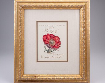 Vintage 1995 C Lael Augusts Flower The Poppy Botanical Art Gold Framed Print