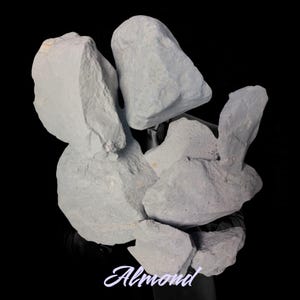 Almond 200g