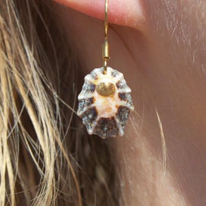 Seashell Earring handmade | Natural Shell Earrings | Summer Jewelry | Handmade Earrings | Summer Beachwear | Dangle Earrings