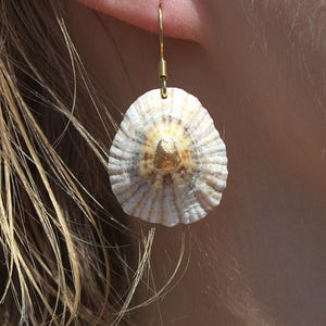 Seashell Earring handmade | Natural Shell Earrings | Summer Jewelry | Handmade Earrings | Summer Beachwear | Dangle Earrings