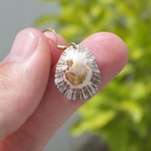 Seashell Earring handmade | Natural Shell Earrings | Summer Jewelry | Handmade Earrings | Summer Beachwear | Dangle Earrings