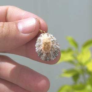 Seashell Earring handmade | Natural Shell Earrings | Summer Jewelry | Handmade Earrings | Summer Beachwear | Dangle Earrings