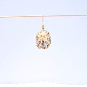 Seashell Earring handmade | Natural Shell Earrings | Summer Jewelry | Handmade Earrings | Summer Beachwear | Dangle Earrings