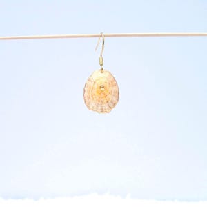Seashell Earring handmade | Natural Shell Earrings | Summer Jewelry | Handmade Earrings | Summer Beachwear | Dangle Earrings
