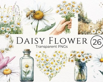 Daisy Flower Watercolor Clipart Bundle | 26 PNG Files | Transparent Background | Digital Floral Art