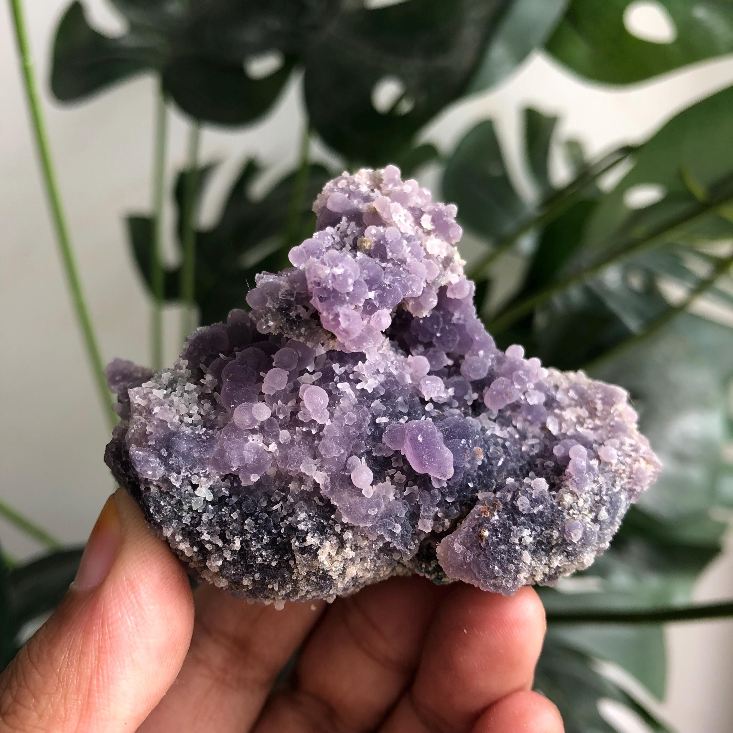 ユニークなグレープアゲート標本クラスター | ギフト、贈り物