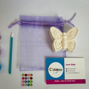 Paint Your Own Party Favour – Insect Theme | Bug Kit for Kids | Party Bag Fillers | Craft Activity | Birthday Party | Butterfly Bee Ladybird