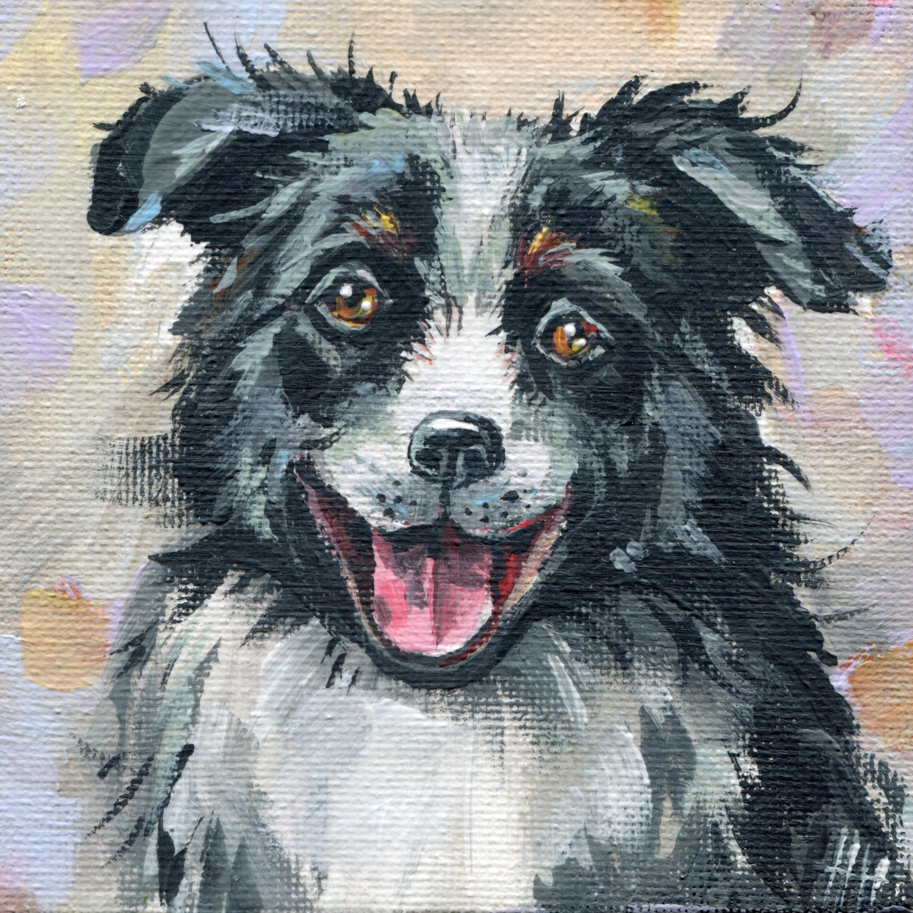 Australian Shepherd Mix: 15 Best Hybrids for Dog Lovers, image size:3000x3000