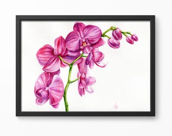 ピンクの蘭の絵画、オリジナルの水彩画、オリジナルの水彩画、蘭の