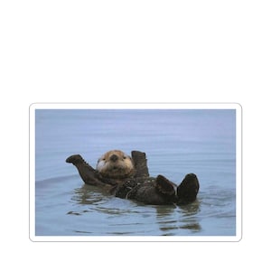 Schattige otter-kusgesneden stickers | Leuke laptopstickers, waterdierendecor, schattige stickers voor kinderen, natuurliefhebbers, cadeau voor otterfans