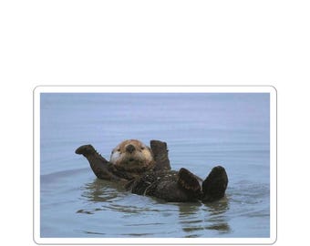 Cute Otter Kiss-Cut Stickers | Fun Laptop Decals, Water Animal Decor, Cute Stickers for Kids, Nature Lovers, Gift for Otter Fans