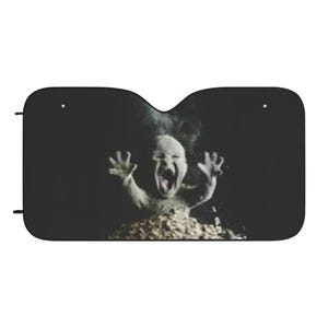 Burning MEME Sun Shades, Funny Baby Monster Car Sun Shades, UV Protection Shades, Auto Accessories, Unique Car Gifts,