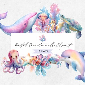 Clipart zeedieren - aquarel oceaanafbeeldingen - pastel dolfijnillustraties - schildpad PNG - CLP03BAB