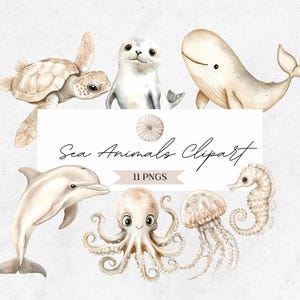 May include: A collection of watercolour sea animal illustrations, including a turtle, seal, whale, dolphin, octopus, jellyfish, and seahorse. The text "Sea Animals Clipart" and "11 PNGS" are also included.