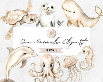 Clipart de animais marinhos bebês: tema de oceano em aquarela PNG (download digital) - CLP03BA