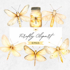 Firefly Lightning Bug Clipart - Glowing Insect PNG - Watercolor Fireflies Illustration -  Cute Glow Worm Art - CLP03AA