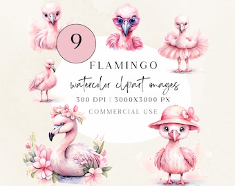 Aquarell Flamingo Clipart Bundle: Pastell Rosa Tropische Vögel (PNG, Kommerzielle Nutzung) CLP03FAA