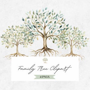 Watercolor Family Tree Clipart: Roots, Botanical Green Leaves PNG (Digital Download) -CLP05AB