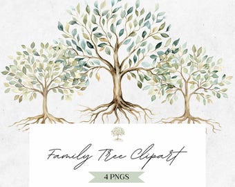 Family Tree Clipart - Minimalist Roots PNG - Botanical Green Leaves - Watercolor Tree Of Life - Digital Nature Illustration - CLP05AB