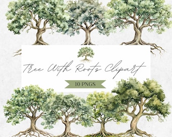 Tree Of Life Clipart - Oak With Roots PNG - Botanical Green Leaves - Watercolor Family Art - Digital Nature Illustration - CLP05A